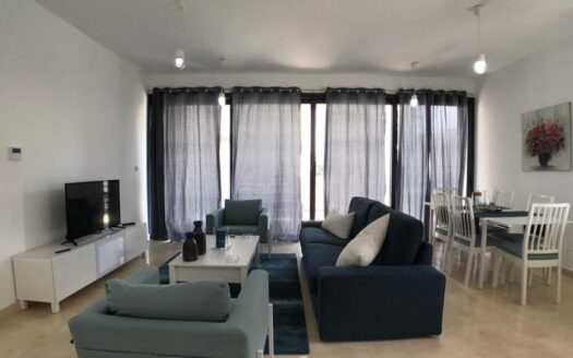 MODERN 2 B/R APARTMENT IN NEAPOLIS AREA