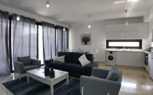 MODERN 2 B/R APARTMENT IN NEAPOLIS AREA