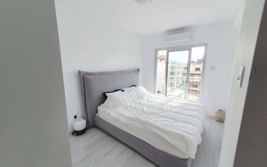 RENOVATED 3 B/R APARTMENT IN NEAPOLIS