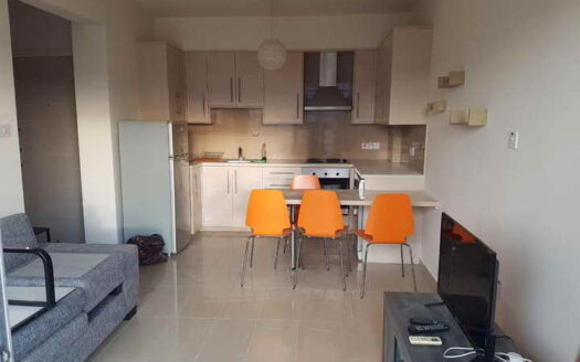 MODERN 2 B/R F/F APARTMENT IN TOURIST AREA