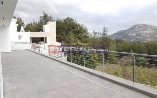 MODERN 5 B/R VILLA IN MONIATIS