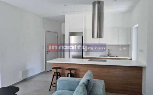 BRAND NEW 2 B/R APARTMENT NEAR DASSOUDI