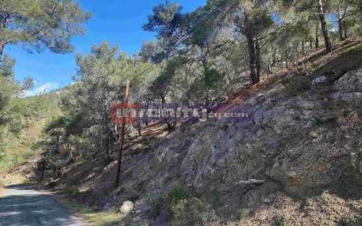 PANORAMIC RESIDENTIAL LAND 21682 SQ M MONIATIS