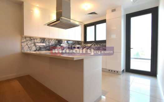 4 B/R PENTHOUSE 325 sqm WITH ROOF GARDEN&PRIVATE POOL NEAR DASSOUDI