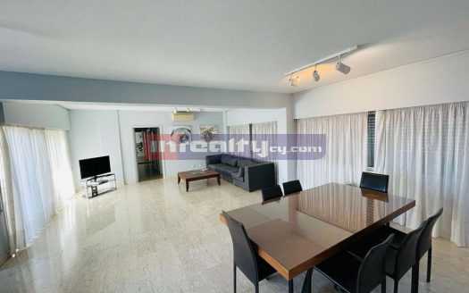 3 B/R APARTMENT WITH SEA VIEW IN TOURIST AREA