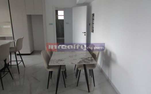 BRAND NEW 2 B/R APARTMENT IN TOURIST AREA