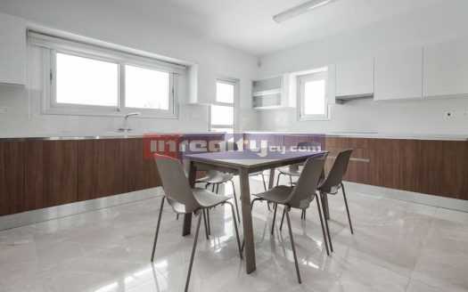 HI TECH 4 F/F B/R PENTHOUSE NEAR DASSOUDI