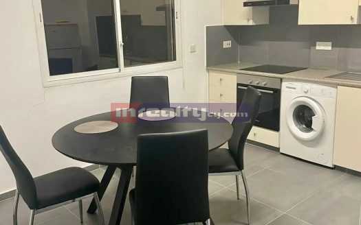 1 B/R APARTMENT NEAR DASSOUDI