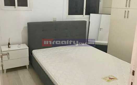 1 B/R APARTMENT NEAR DASSOUDI