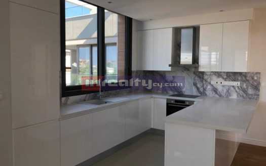 3 B/R PENTHOUSE NEAR PAPAS