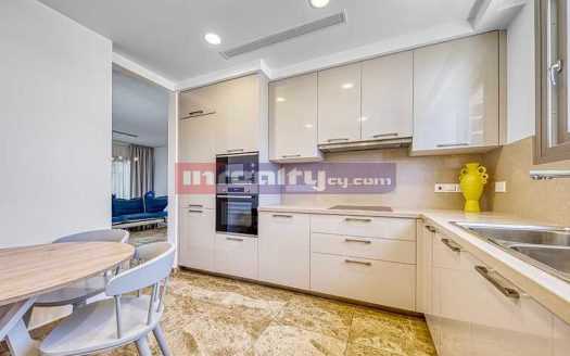 4 B/R PENTHOUSE IN NEAPOLIS