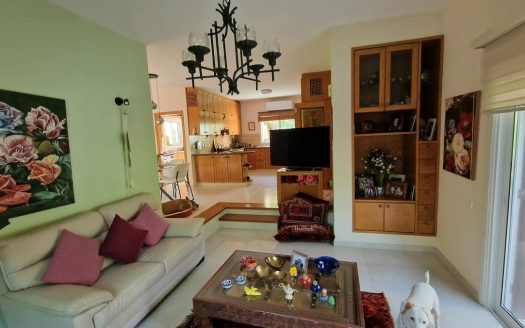 5 BEDROOMS VILLA IN PETROU & PAVLOU AREA